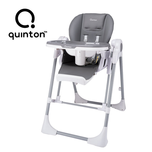 Quinton Pali 2 in 1 Swing High Chair