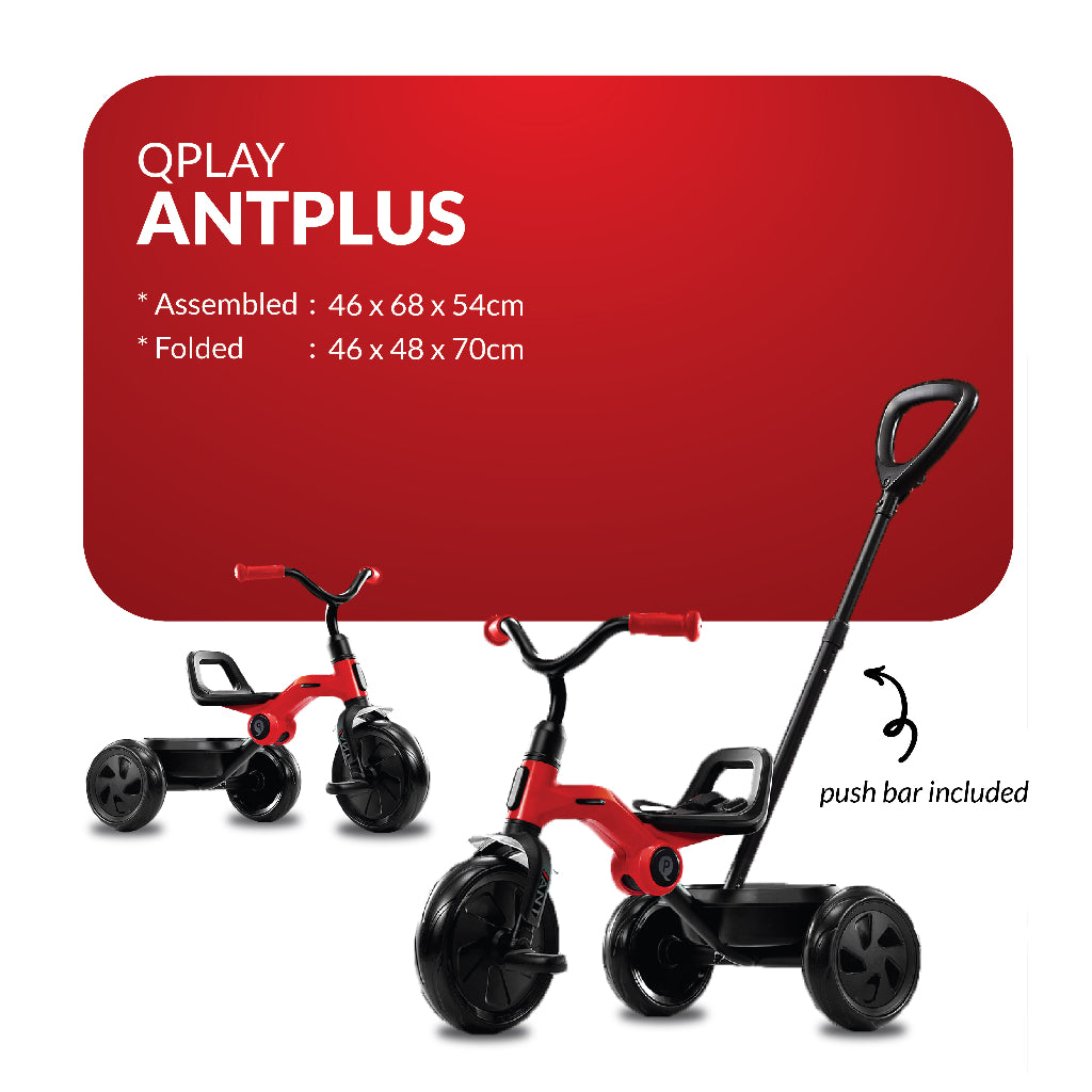 Qplay Ant Plus 2-in-1 Basic Trike